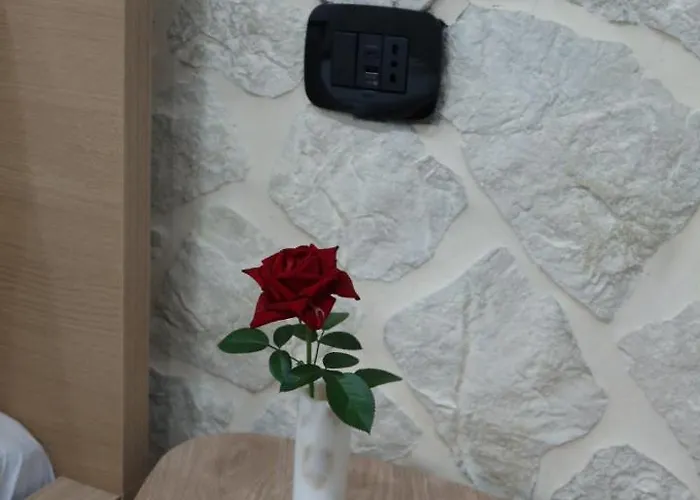 Bed & Breakfast Casa Nika